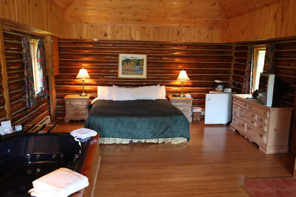 Large Cabin